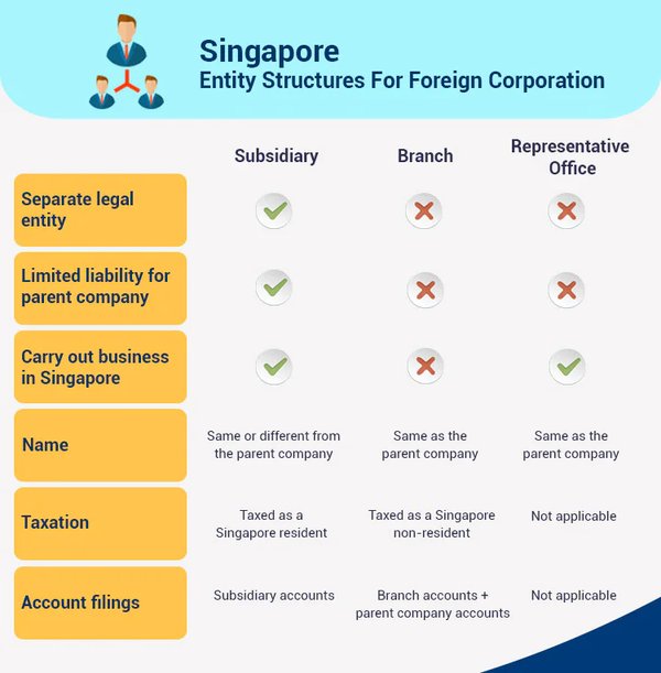 新加坡公司注册：选择适合您的商业实体类型 - 第1张