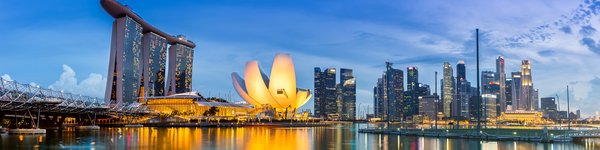 2024年新加坡公司注册总数揭秘:601,380家企业背后的机遇与挑战 - 第1张 - 新加坡企业服务中心 2024年新加坡公司注册总数揭秘:601,380家企业背后的机遇与挑战 - 第1张