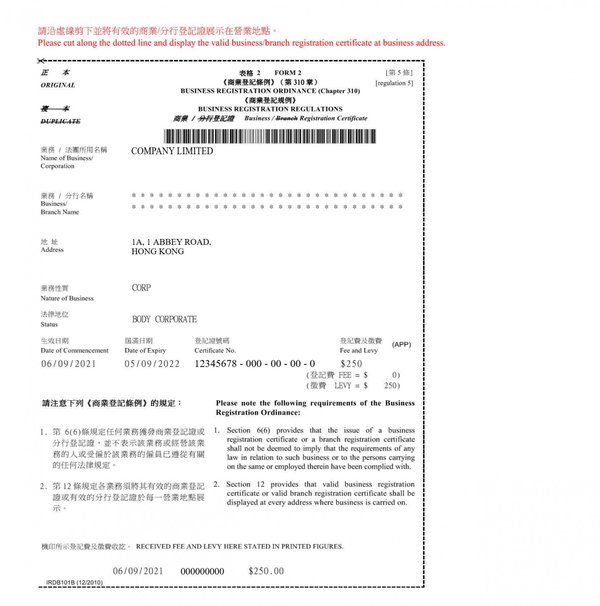 新加坡公司需在香港完成商业登记的企业类型解析 - 第2张