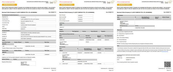 新加坡公司Bizfile用户最新更新：逾期提交罚款豁免政策解读 - 第2张