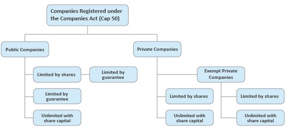 2021年第一份公报中被除名的新加坡公司类型解析 - 第1张