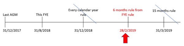 新加坡私人公司成员请求召开年度股东大会的条件 - 第3张