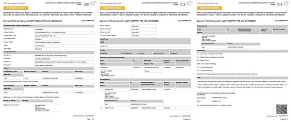 新加坡公司免费商业档案（Business Profile）中你应了解的内容 - 第1张