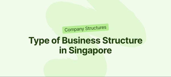 了解新加坡GoBusiness平台上的e-Adviser for Business Structure：为您的企业选择最佳结构 - 第1张