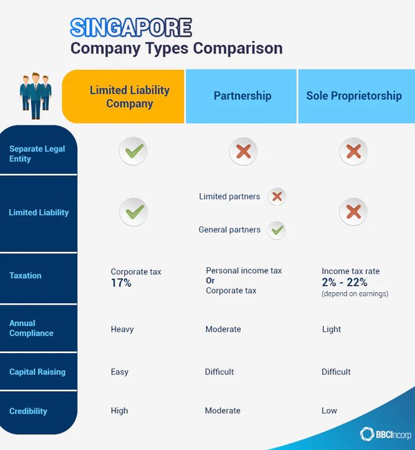 新加坡公司会计业务结构的三种类型及其重要性 - 第2张