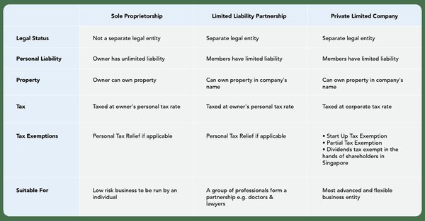 新加坡公司注册指南：了解不同类型的商业实体 - 第2张