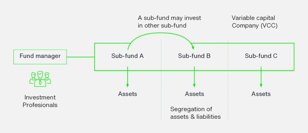 新加坡VCC年度申报(AR)详解:内容与申报流程 - 第1张 - 新加坡企业服务中心 新加坡VCC年度申报(AR)详解:内容与申报流程 - 第1张