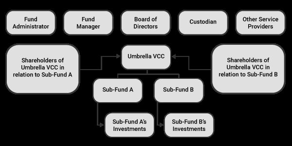 新加坡公司提取认证（VCC）的选项及操作指南 - 第2张