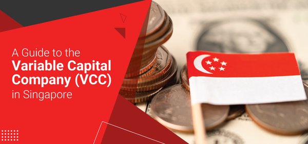 新加坡VCC公司任命高管时需要提交哪些个人信息？ - 第1张