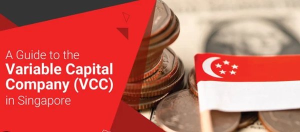 新加坡VCC逾期提交文件的滞纳金解析：如何避免额外成本？ - 第2张