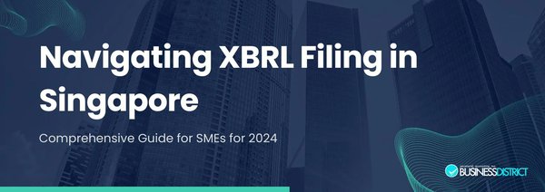 新加坡公司财务报告中的XBRL：全面解析与应用指南 - 第1张