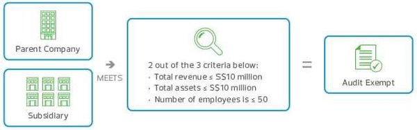 新加坡小型公司审计豁免的有效日期及资格详解 - 第1张