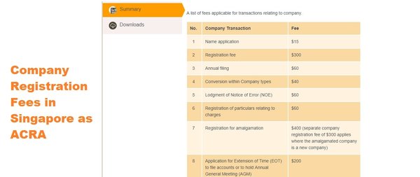 新加坡公司注册：商业名称注册费用详解 - 第3张