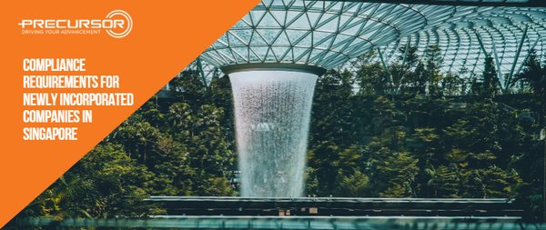 新加坡公司注销全攻略：流程、税务影响与专业建议 - 第1张
