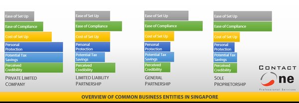2022年新加坡公司注册趋势：独资企业与合伙企业为何出现下滑？ - 第3张