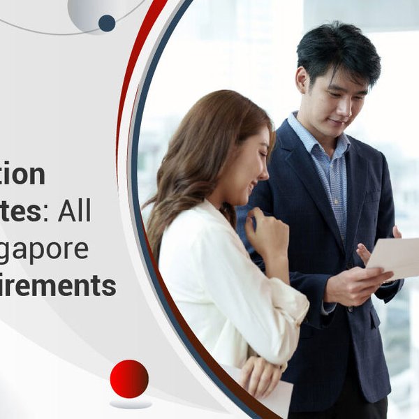 新加坡SGX主板上市全攻略:企业如何顺利跨入国际资本市场 - 第2张 - 新加坡企业服务中心 新加坡SGX主板上市全攻略:企业如何顺利跨入国际资本市场 - 第2张