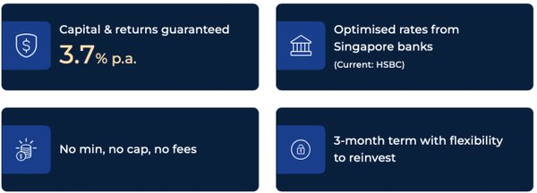 新加坡公司注册资本的最低要求是什么？全面解析与实用指南 - 第3张