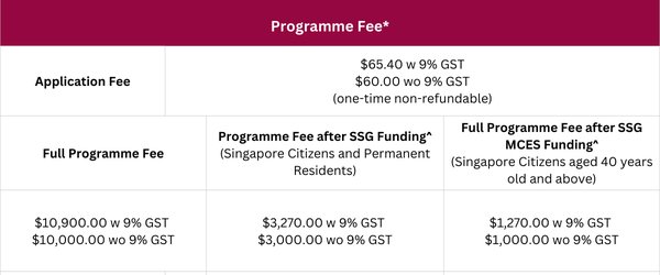 新加坡公司注册或续期为合格个人的申请费用详解 - 第3张