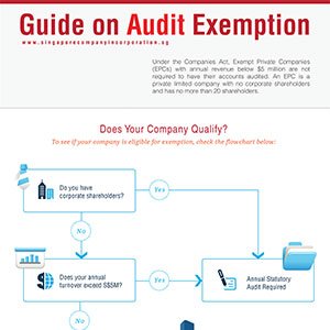 谁可以在新加坡提供财务报表的审计意见？ - 第2张