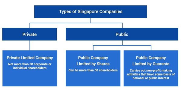 新加坡VCC公司任命高管时需要提交哪些个人信息？ - 第3张