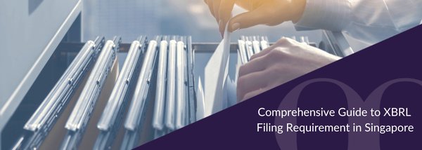 新加坡公司如何轻松搞定XBRL财务报表提交? - 第2张 - 新加坡企业服务中心 新加坡公司如何轻松搞定XBRL财务报表提交? - 第2张