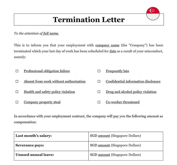 新加坡公司VCC官员、经理或审计师的任命与终止：所需细节详解 - 第3张