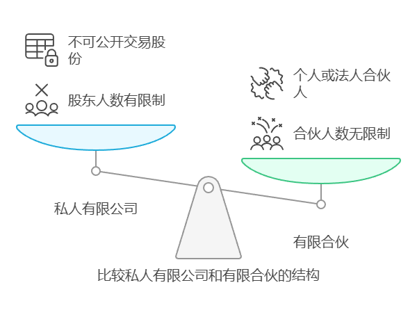 2. 所有权结构：股东与合伙人有哪些限制？
