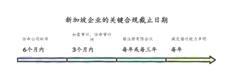 3. 年度合规：在新加坡运营需要履行哪些法定义务？