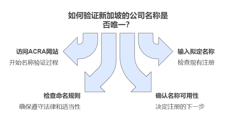 如何验证新加坡公共会计实体名称的唯一性？