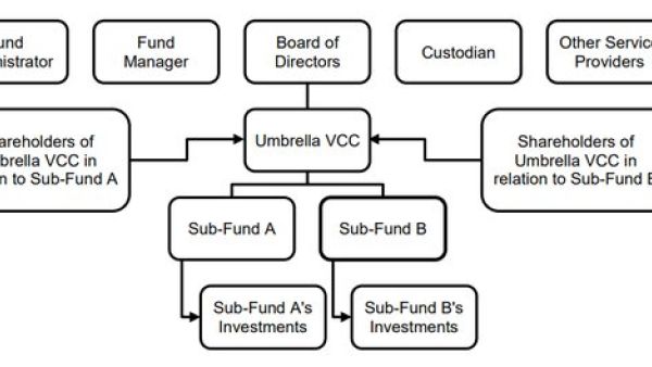 新加坡VCC：基金管理的新宠，合规与机遇并存