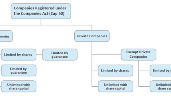 选择新加坡公司业务结构的关键因素：全面指南