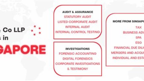 新加坡公司转换为会计有限责任合伙（Accounting LLP）时，客户通知应包含哪些具体信息？