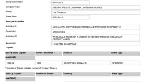 新加坡Bizfile用户如何应对时间敏感和关键交易？