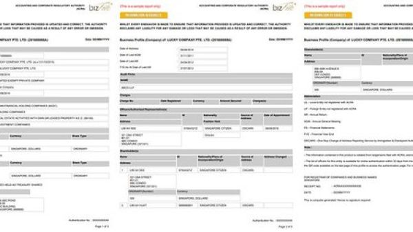 新加坡公司商业信息档案（Business Profile）详解：如何通过ACRA获取关键信息