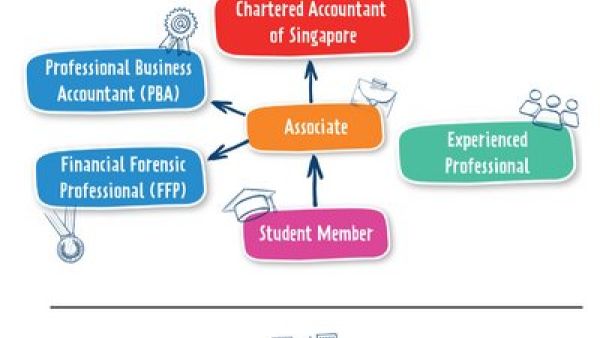 新加坡CDAS主席及其专业背景解析