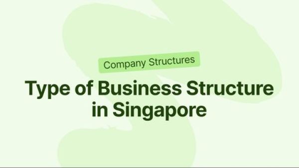 了解新加坡GoBusiness平台上的e-Adviser for Business Structure：为您的企业选择最佳结构