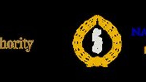 新加坡公司FRSP报告中的文件类型详解