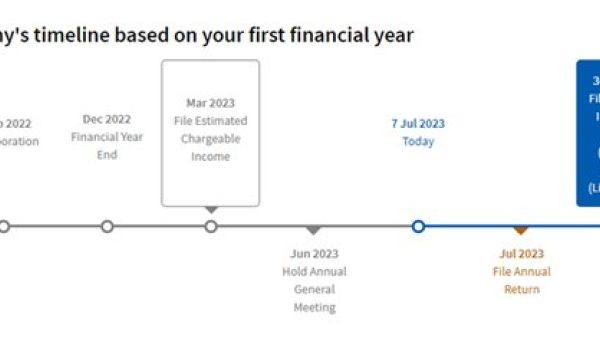 新加坡公司财务年度截止日期的常见选择与变更指南