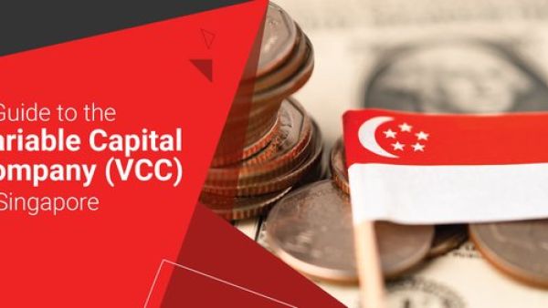 新加坡公司注册中的董事登记册（VCC）报告详解