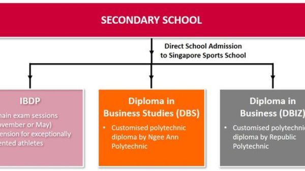 新加坡公司助力香港高才计划：成功率解析与申请指南