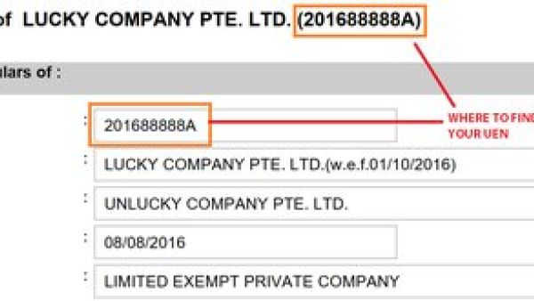 新加坡有限责任合伙企业（LLP）中的唯一实体号码（UEN）是什么？