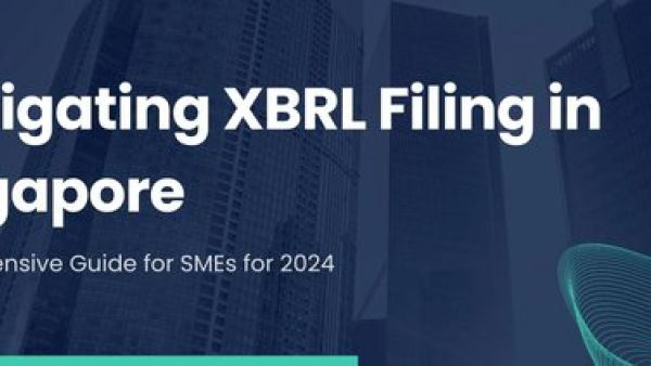 新加坡公司财务报告中的XBRL：全面解析与应用指南