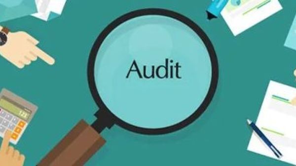 新加坡审计师可用的资源类型及其重要性