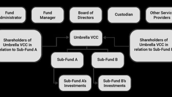 新加坡公司VCC高管或经理信息变更后的应对措施