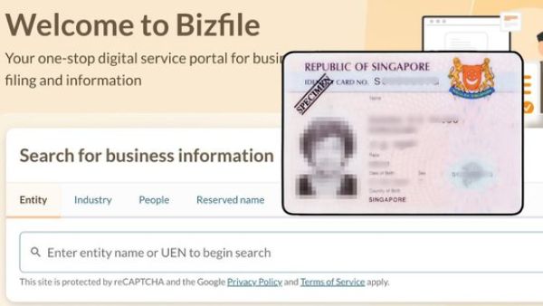 新加坡新Bizfile如何提升数据完整性与治理能力？