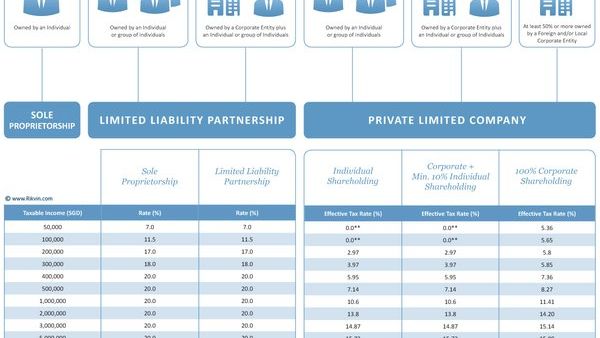 新加坡专业合伙公司注册指南：如何选择适用的法律？