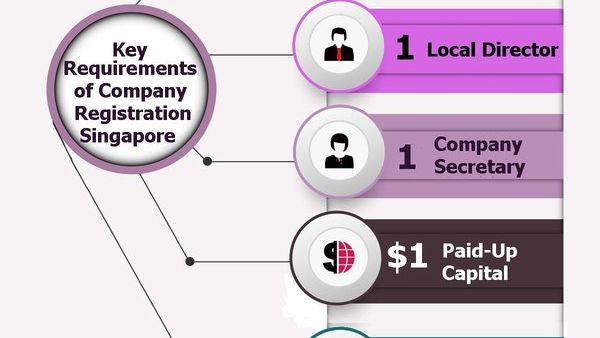 新加坡公司注册资金对运营的影响及重要性