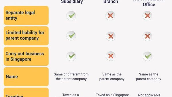 新加坡外国公司如何满足公共成员登记册的监管要求？