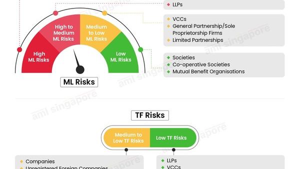 新加坡公司如何通过无缝申报方案提交税务申报?