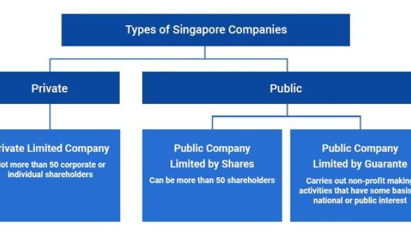 了解新加坡公司中的“公司股东”概念